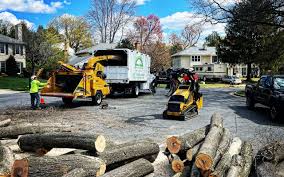 Best Leaf Removal  in Hamilton, OH